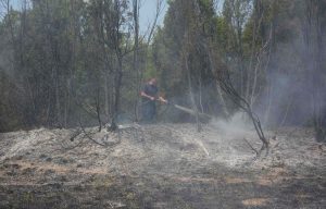 Požari oko Kladova, proglašena vanredna situacija 13